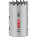 Show Picture 0