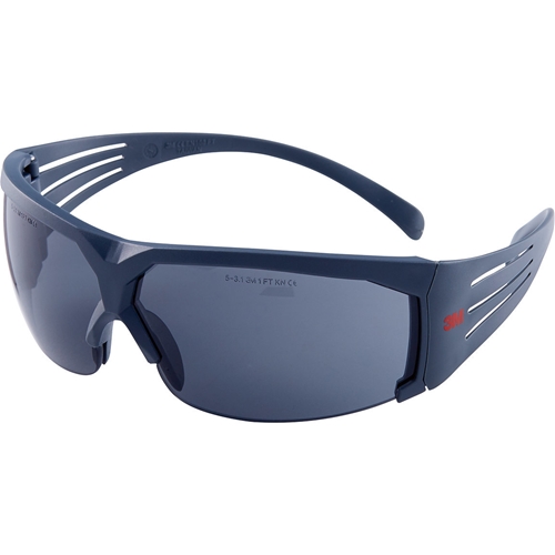 3M Schutzbrille SecureFit 602 PC grau SGAF