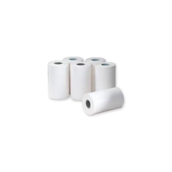 Ersatz-Thermopapier zu Testo Drucker Pack a 6 Rollen, dokumentenecht Nr. 0554 0568 EAN 4029547001543