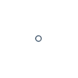 Bosch Reduzierring für Kreissägeblätter, 30x20x1,0mm Nr. 2600100379