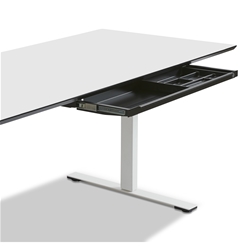 Schublade "Slim Tray", mit Kunststoffeinsatz, large ohne Schloss, Außenmaß H/B/T: 32/45/876/260mm, RAL 9006 weißaluminium Nr. STRAYL.08