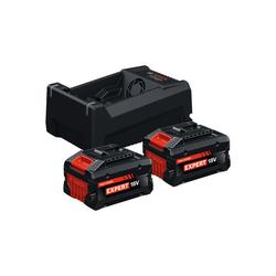 Bosch Batterie/Ladegerät Set 2x EXBA18V-55 + GAL12V/18V-80 Nr. 1600A0373P