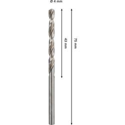 Bosch PRO Metal HSS-G Spiralbohrer, 4x43x75mm, 2er-Pack Nr. 2608577639