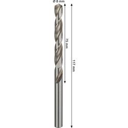 Bosch PRO Metal HSS-G Spiralbohrer, 8x75x117mm Nr. 2608577656