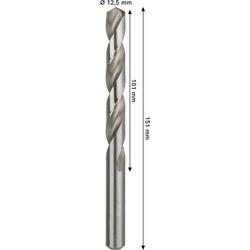Bosch PRO Metal HSS-G Spiralbohrer, 12,5x101x151mm Nr. 2608577665