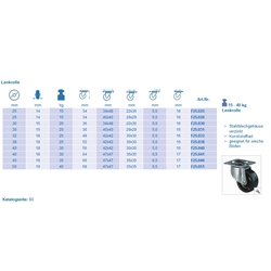 Lenkrolle, Rad Ø 40mm, Kunststoff schwarz, Radb. 18mm, BH 56mm, Radk. Kunststoff, mit Platte, PG 42x42mm, Tragkr. 30kg Nr. F25.040