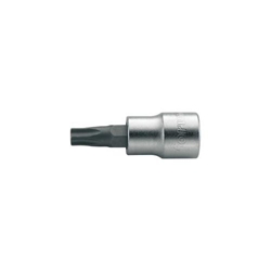 Schraubendreher-Einsatz 1/4 Zoll, Torx T25x36mm (forum)