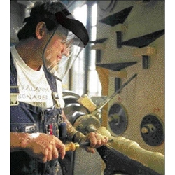 fortis Gesichtsschutzschirm EAN 4317784793773