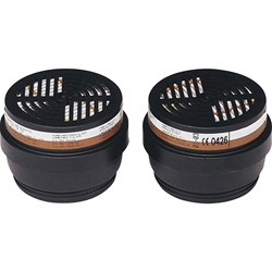 Ekastu Filter 200, A1-P1R (Pack a 2 Stück) EAN 4013207422847