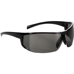 fortis Bügelbrille Polaris, getönt, Rahmen schwarz EAN 4317784784610
