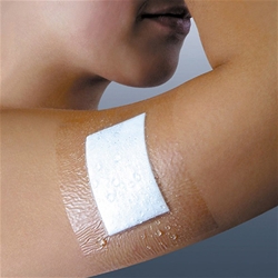 Holthaus Medical Wundverband Ypsiderm plus EAN 4005058192604