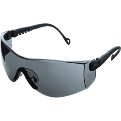 Honeywell Brille Optema, TSR, getönt, Rahmen schwarz EAN 7312550000175